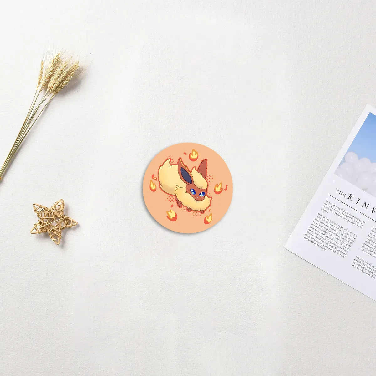 Flareon Coaster